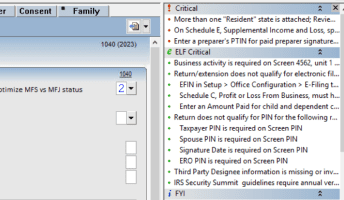 UltraTax CS critical and electronic filing diagnostics window